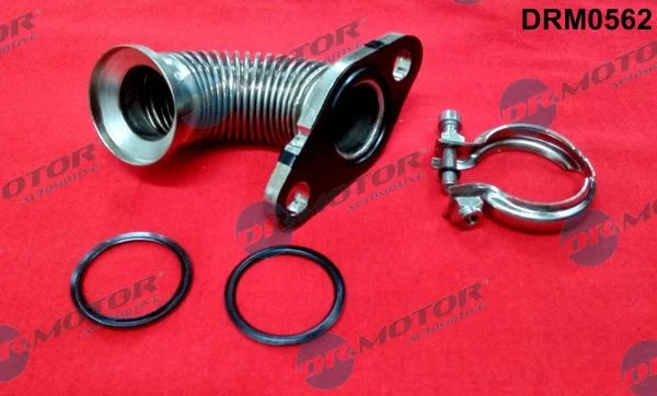 EGR Valve/Intake Manifold