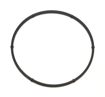 Seal Ring ELRING 104.200