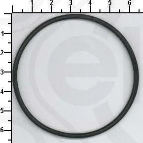 Tarpiklis, įsiurbimo kolektoriaus korpusas ELRING 181.580
