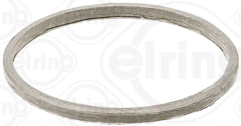 Tarpiklis, išleidimo kolektorius ELRING 738.820