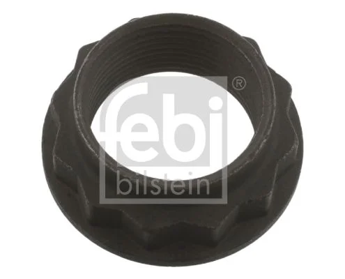 Nut, input shaft (differential) FEBI BILSTEIN 36662