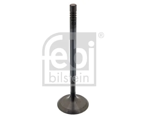 Intake Valve FEBI BILSTEIN 38604