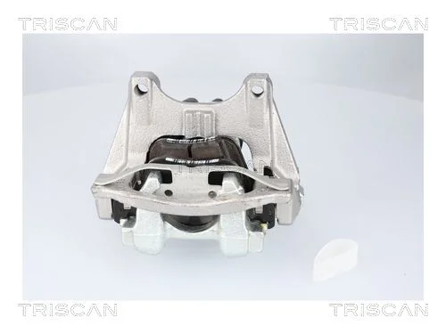 Stabdžių apkaba TRISCAN 8175 82203
