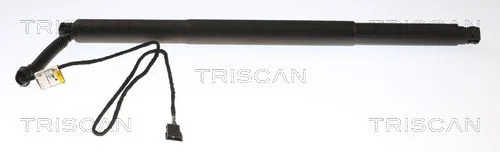 Dujinė spyruoklė, bagažinė TRISCAN 8710 11311