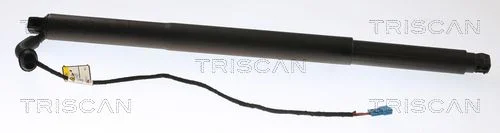 Dujinė spyruoklė, bagažinė TRISCAN 8710 11312