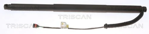 Dujinė spyruoklė, bagažinė TRISCAN 8710 29304