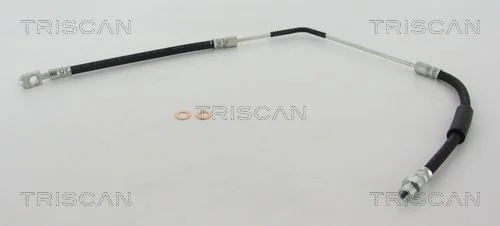 Stabdžių žarnelė TRISCAN 8150 17306