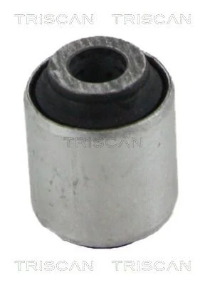 Mounting, control/trailing arm TRISCAN 8500 10874