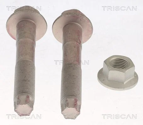 Repair Kit, wheel suspension TRISCAN 8500 13401