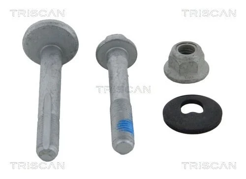 Repair Kit, wheel suspension TRISCAN 8500 16400