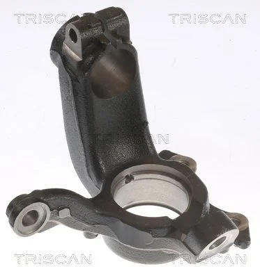 Steering Knuckle, wheel suspension TRISCAN 8500 29721