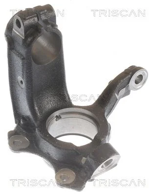 Steering Knuckle, wheel suspension TRISCAN 8500 29722