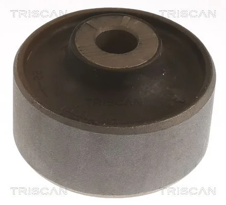 Mounting, control/trailing arm TRISCAN 8500 298084