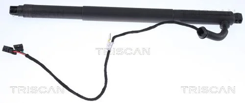 Dujinė spyruoklė, bagažinė TRISCAN 8710 11301