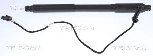 Dujinė spyruoklė, bagažinė TRISCAN 8710 11303