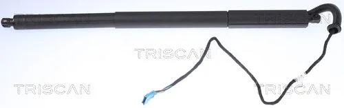 Dujinė spyruoklė, bagažinė TRISCAN 8710 11306