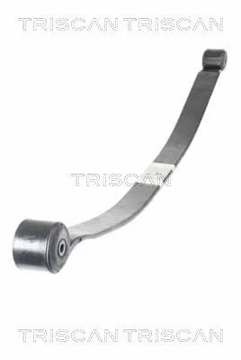 Lingės paketas TRISCAN 8765 16049