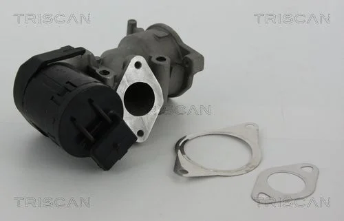 EGR ventil TRISCAN 8813 10001