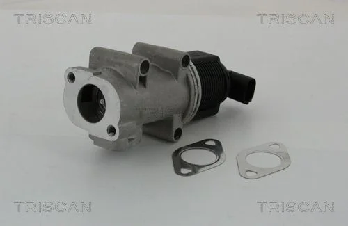 EGR ventil TRISCAN 8813 10005
