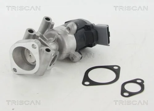 EGR Valve TRISCAN 8813 10009