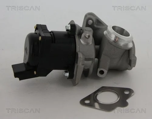 EGR ventil TRISCAN 8813 10010