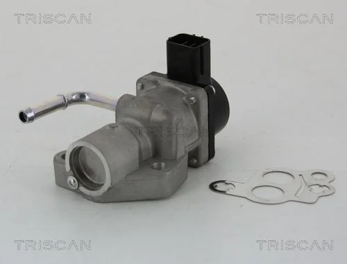 EGR Valve TRISCAN 8813 10014