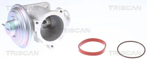 EGR ventil TRISCAN 8813 11003
