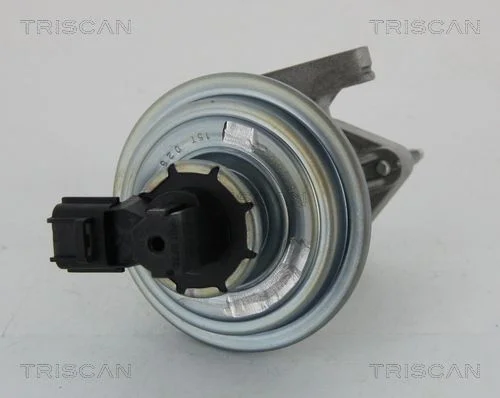 EGR ventil TRISCAN 8813 16045