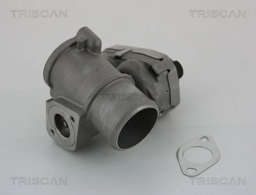 EGR Valve TRISCAN 8813 16101