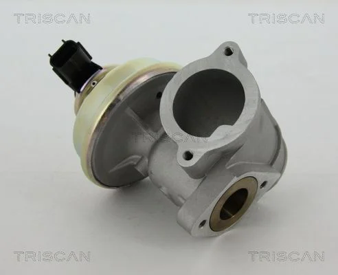 EGR ventil TRISCAN 8813 16102