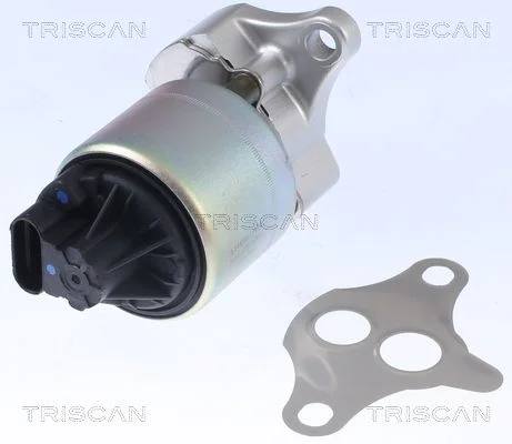 EGR ventil TRISCAN 8813 21001