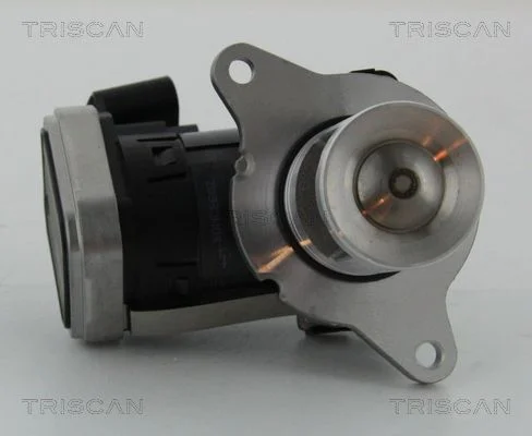 ERG vožtuvas TRISCAN 8813 23006