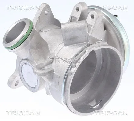 EGR Valve TRISCAN 8813 23032