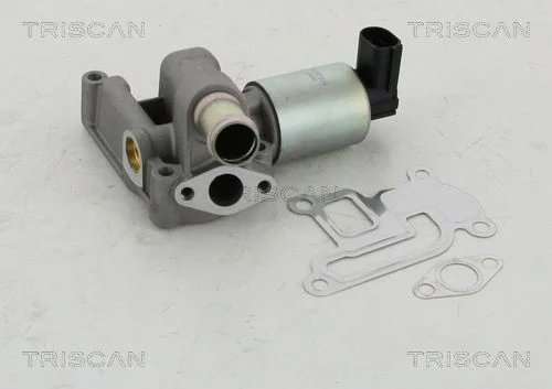 EGR ventil TRISCAN 8813 24003