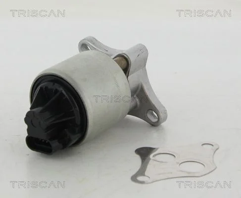 EGR ventil TRISCAN 8813 24004