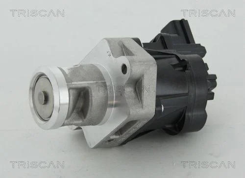 ERG vožtuvas TRISCAN 8813 24083