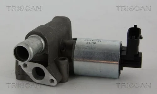 EGR ventil TRISCAN 8813 24102