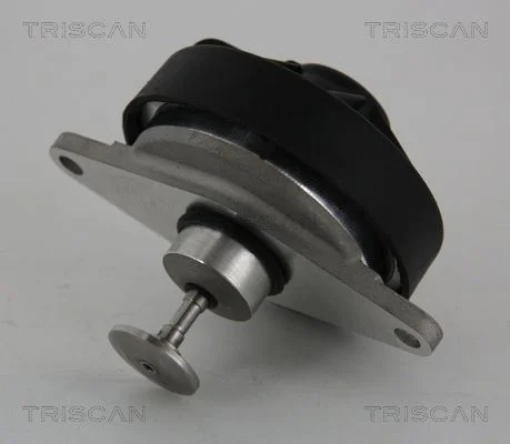 EGR ventil TRISCAN 8813 24202