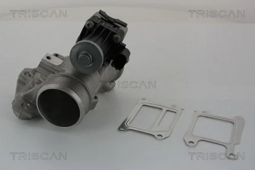 ERG vožtuvas TRISCAN 8813 27102
