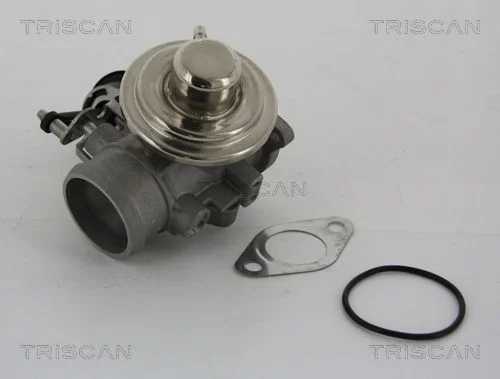 EGR ventil TRISCAN 8813 29001