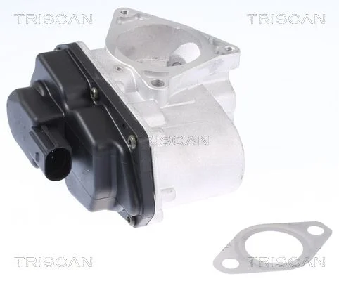 EGR ventil TRISCAN 8813 29003