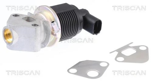 EGR Valve TRISCAN 8813 29009