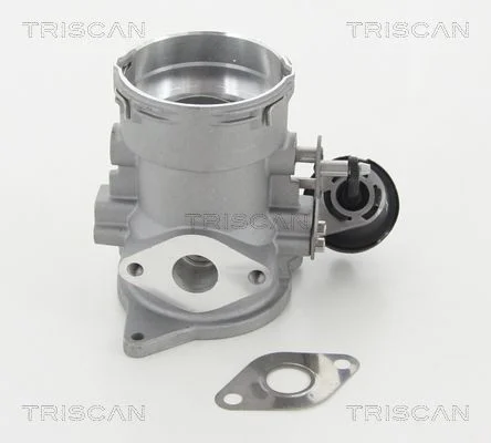 EGR Valve TRISCAN 8813 29056