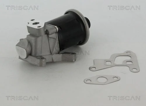 EGR ventil TRISCAN 8813 29100