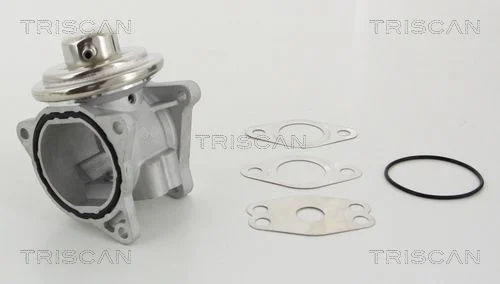 EGR ventil TRISCAN 8813 29111
