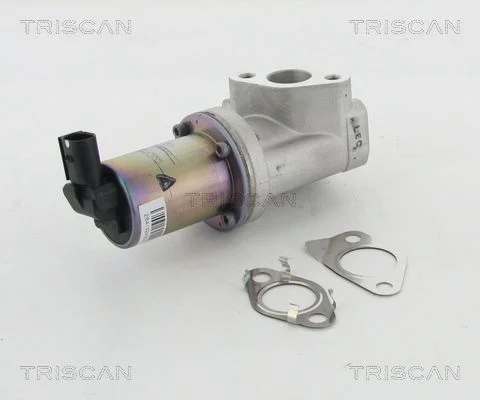 EGR ventil TRISCAN 8813 43021