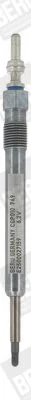 Glow Plug BorgWarner (BERU) CGP010