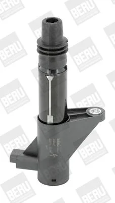 Ritė, uždegimas BorgWarner (BERU) ZS347