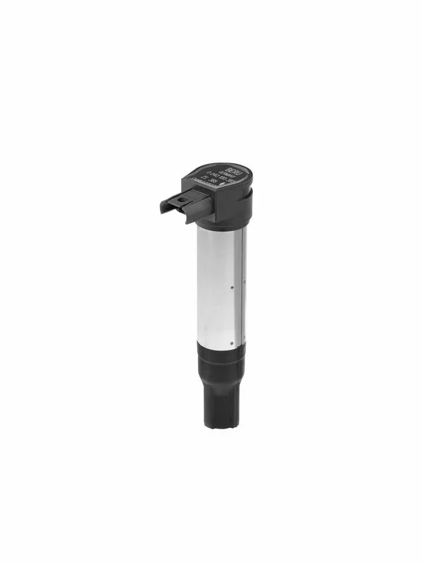 Ritė, uždegimas BorgWarner (BERU) ZS385