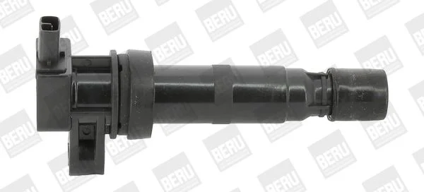 Ritė, uždegimas BorgWarner (BERU) ZS531